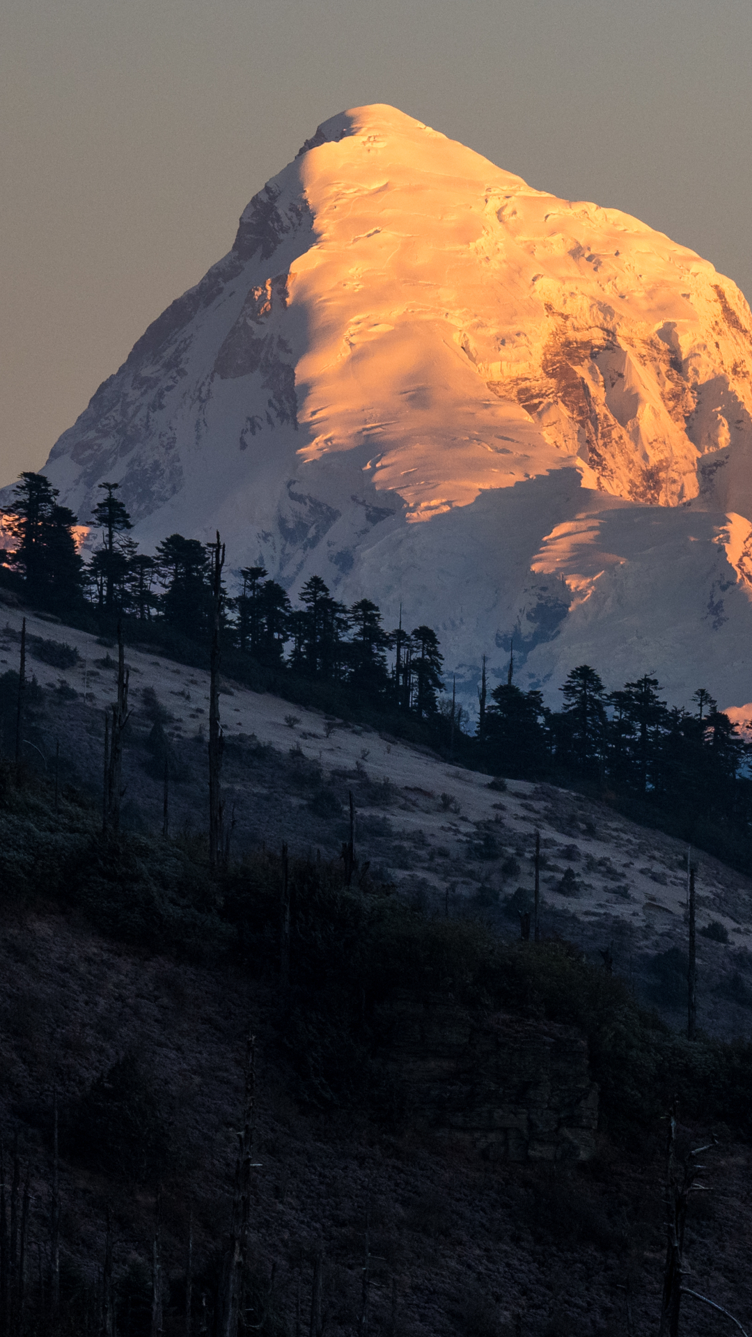 Trekking Expeditions