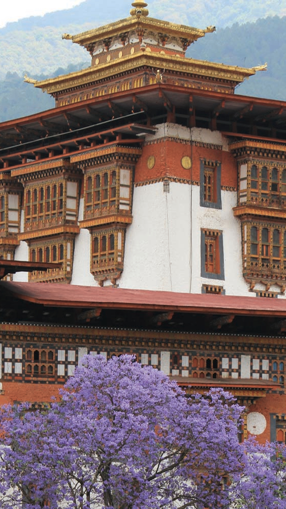Cultural Journeys